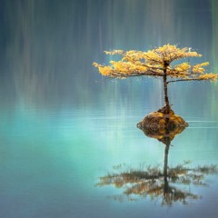 Serenity