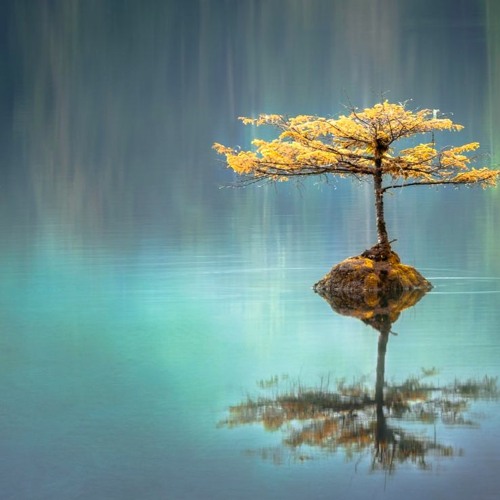 Serenity