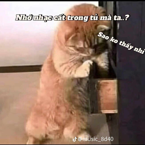 Đoá Hoa x Việc Nên Làm-Anh Chỉ Muốn Qua Nhà,Tặng Cho Nàng 1 Đoá Hoa