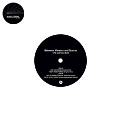 Neon Sculptures (Wrong Assessment Remix)
