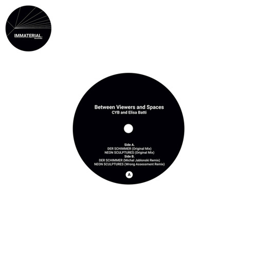 Neon Sculptures (Wrong Assessment Remix)
