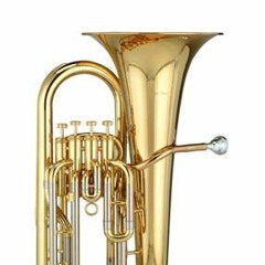 Concerto for Euphonium - I
