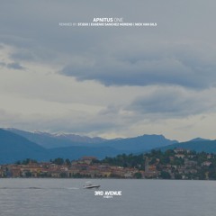 APNITUS - One (Intro Version) [3rd Avenue]