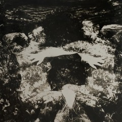 fade_out