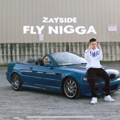 Zayside - Fly N*gga (Mike Sherm Remix)