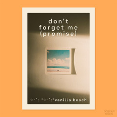 Don't Forget Me (Promise)