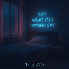 Say What You Wanna Say