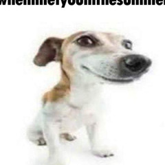 test my nutz, suck my dick