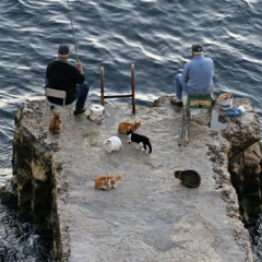 whenurnotaround_111522.wav