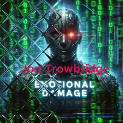 Emotional damage
