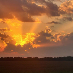 sunnny/angelrave mylifeAway @hofbadge