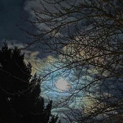 pristine - snail mail [slowed+reverb]