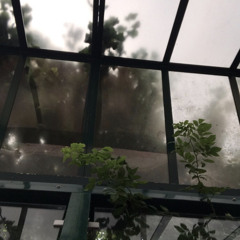 g // morning rush - lewis del mar (cover)