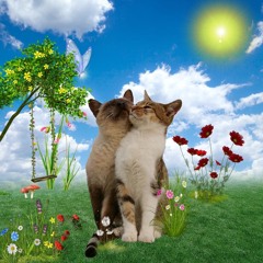 you cant even do plu-