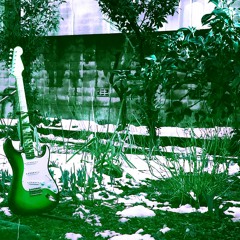 水彩と生態系 **FREE DL**