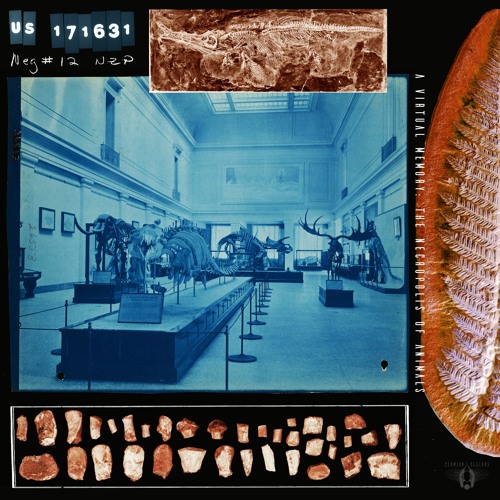 Toothed Whale (Anubis Pt. III)