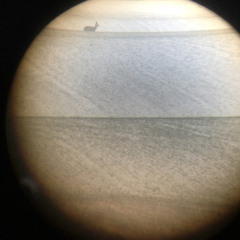 MINIATURE FOR BOO 50 - ON STILTS