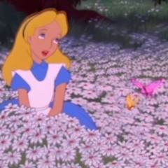 ✩cathars!s dot net✩