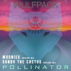 POLLINATOR  EP- MOONIES / SANDY THE CACTUS