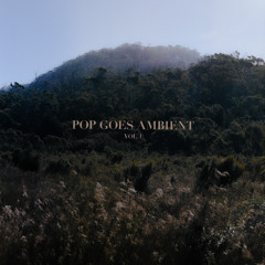 Heat Waves (feat. Amelia Magdalena)