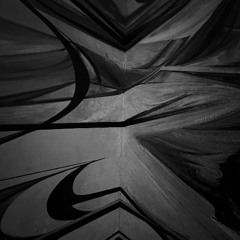 La sed de los escarabajos