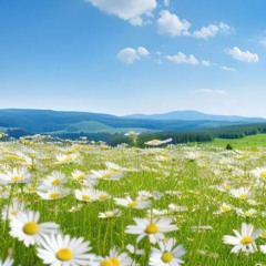 QONYRATBAY FAM, Jeltoksan. - MEMO