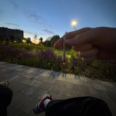 Scolopender