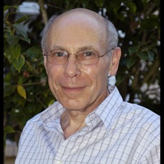 Lionel Corbett, MD, Jungian Analyst