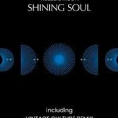 Shining Soul (Vintage Culture Remix)