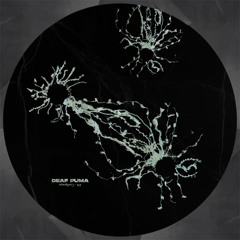 Cordyceps