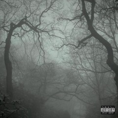 wtf (prod. mavvi)
