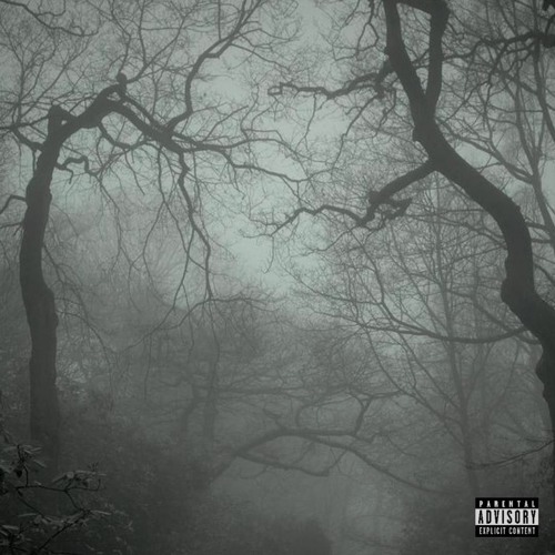 wtf (prod. mavvi)