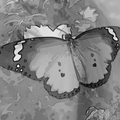 Rainer Willeke - You...