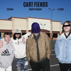 Cart Fiends feat. e-l1ght (prod. digital sleeper)