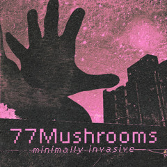 Minimally Invasive 074 77Mushrooms (Nanjing, China)
