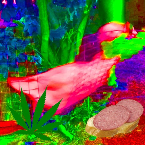 LOFIPOP