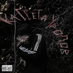 Я тебя люблю