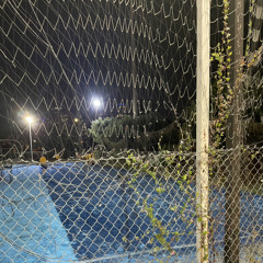 cashavist quick 2 talk prod envy x kohl #89