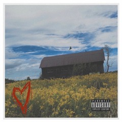 Don’t Step On My Toes