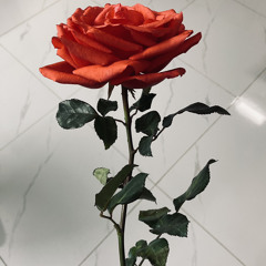 Phép Màu (rất chi là thô sơ)