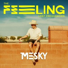 Lost Frequencies - The Feeling (Mesky Remix)