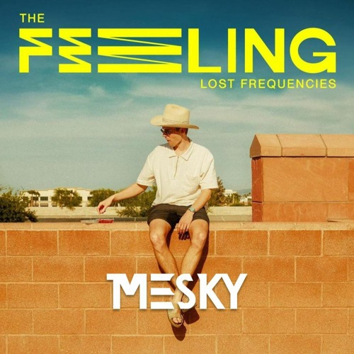 Lost Frequencies - The Feeling (Mesky Remix)