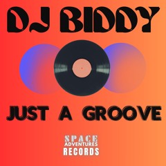 DJ Biddy - Just a Groove