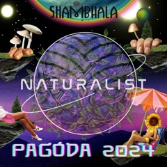 Shambhala 2024 - Live at Pagoda