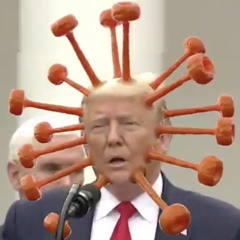 We're On Our Own - A Virus Song