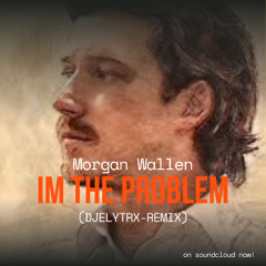 Morgan Wallen - I'm The Problem (DJELYTRX-REMIX)