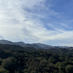 restart/repeat99% - (malibu)