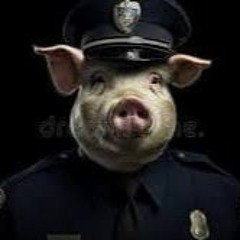 Police Hog Blues