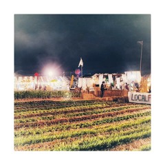 Nostalgia Of The Fields