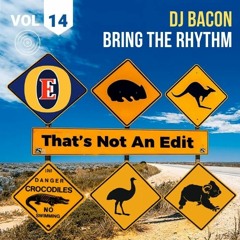 Bring The Rhythm (Dj Bacon Mix)